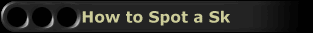 How to Spot a Sk